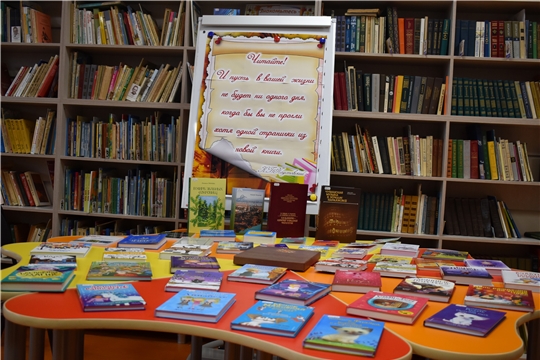 Галерея книжных новинок в Кашмашской сельской библиотеке.
