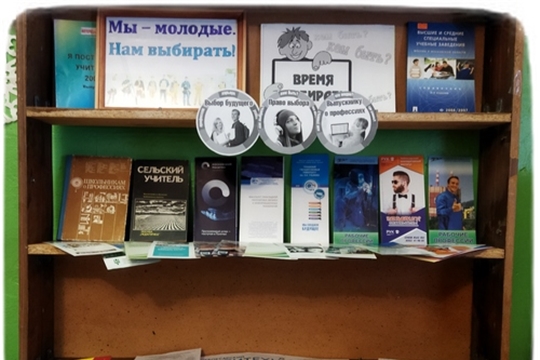 Книжная выставка "Мы - молодые. Нам выбирать!" в Тойгильдинской сельской библиотеке