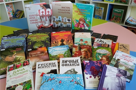В Ильинской сельской библиотеке прошел очередной день новой книги