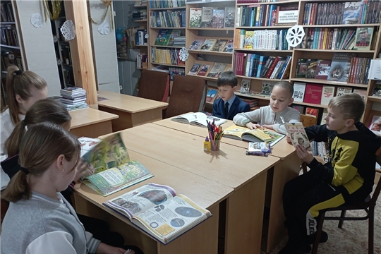 Литературный урок «В них вся вселенная живёт» в Шомиковской сельской библиотнке
