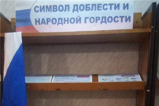 В Атнарской сельской библиотеке прошёл информационный час «Три цвета России»