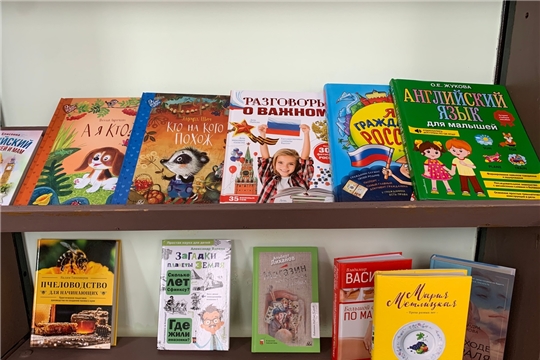 Новинки книг в Большеатменской сельской библиотеке