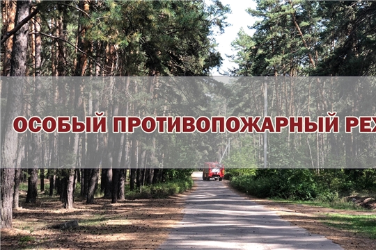 Особый противопожарный режим
