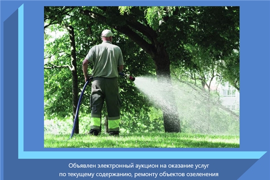 Объявлен электронный аукцион на оказание услуг по текущему содержанию, ремонту объектов озеленения
