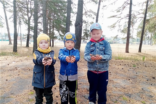  Экскурсия в осенний лес