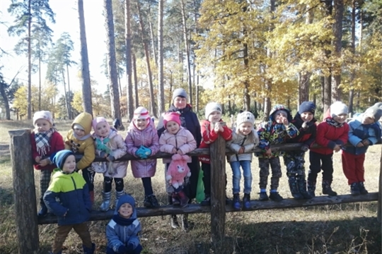 Экскурсия в лес