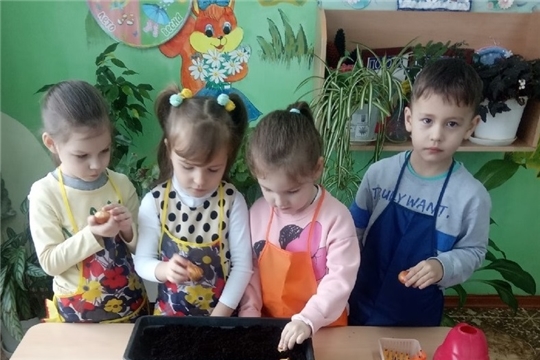 «Лук – наш лучший друг»