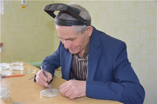 Проверка семян продолжается