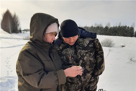 Состояние озимых культур в Чувашской Республике 