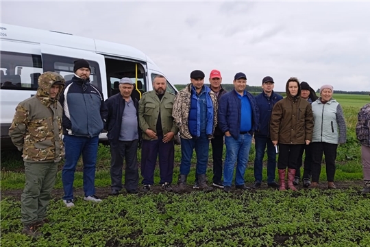 Осмотр полей в Красноармейском муниципальном округе