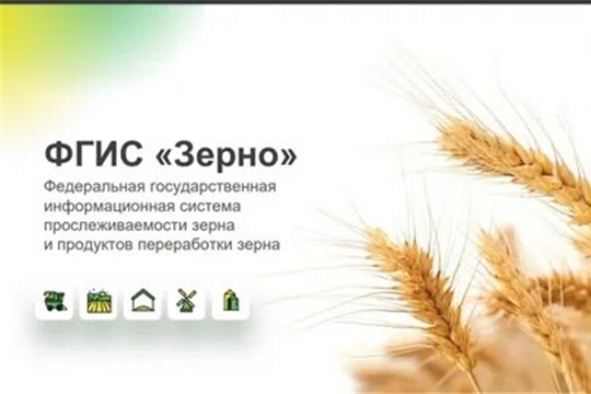 ФГИС «Зерно» работает в штатном режиме — оператор системы