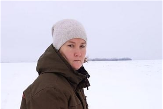 Состояние озимых культур в Чувашии 