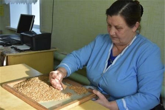 Проверка семян продолжается