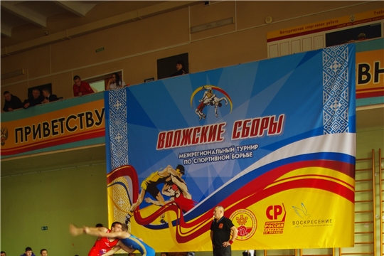 Чувашская школа вольной борьбы показала отличные результаты на «Волжских сборах»