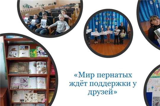 Путешествие в мир птиц «Мир пернатых ждёт поддержки у друзей» (Чукальская с/б)