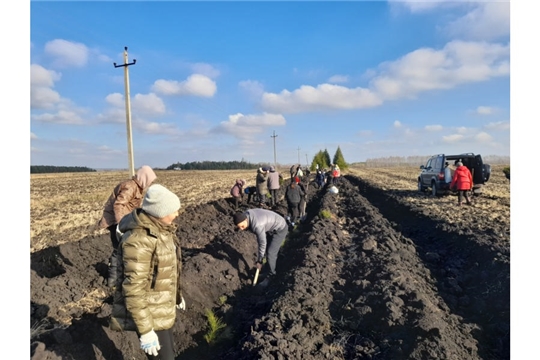 В Большебуяновском территориальном отделе прошел субботник по посадке зеленых насаждений