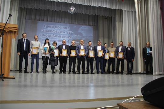 День работника сельского хозяйства и перерабатывающей промышленности в Шемуршинском муниципальном округе