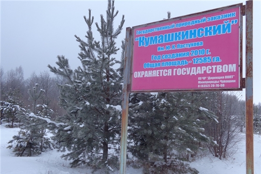 Гордимся земляками. Государственный природный заказник «Кумашкинский» имени Ю.К. Пастухова