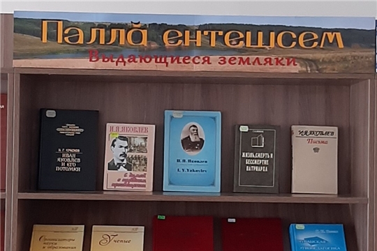 Книжная выставка «Выдающиеся земляки» в Нижнекумашкинской сельской библиотеке.