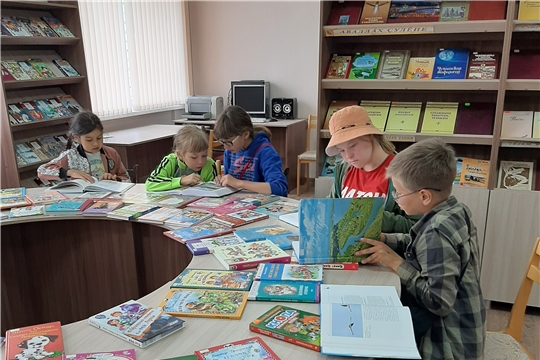 Экологический час «Прекрасный мир природы» в Нижнекумашкинской сельской библиотеке