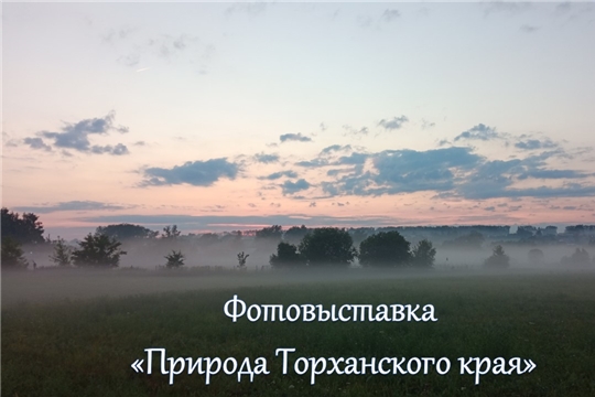  Торханская сельская библиотека приглашает принять участие в создании онлайн фотовыставки «Природа Торханского края»