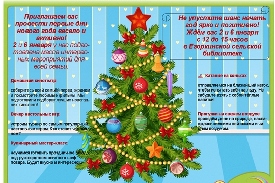 В дни новогодних каникул мы рады видеть Вас