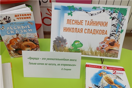 Лесные тайнички Н. Сладкова