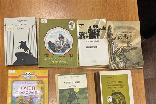 в Большеалгашинской сельской библиотеке прошла книжная выставка "Прекрасный мир удивительного человека"