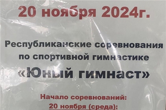 Республиканские соревнования «Юный гимнаст» по спортивной гимнастике (мальчики)
