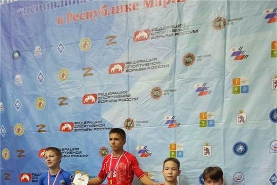 С 11 по 12 октября 2024 г. в ФОКе «Юбилейный» в г. Йошкар-Ола прошел межрегиональный турнир по спортивной борьбе - панкратион «Памяти рядового пограничных войск Российской Федерации Е.А. Родионова»