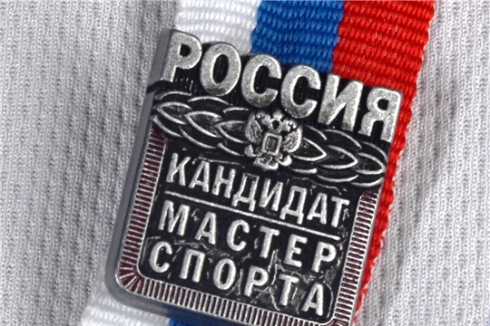 Прошло вручение классификационных книжек и значков КМС
