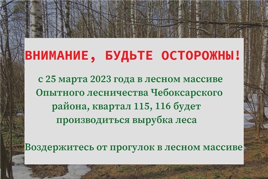 Вырубка леса