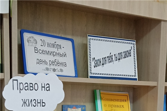 К Всемирному дню ребенка в Детской библиотеке была организована книжно-иллюстративная выставка «Закон для тебя, ты для закона»