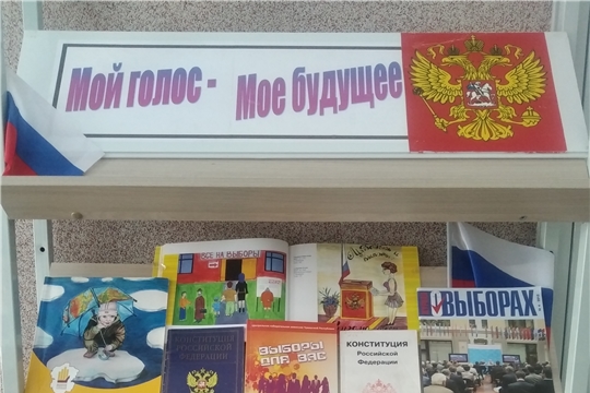 В Центральной библиотеке был организован обзор тематической книжной выставки «Мой голос – мое будущее»