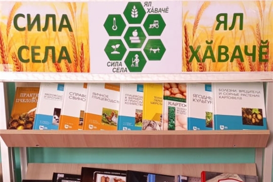 В рамках республиканского проекта "Сила села - ял хӑвачӗ" в библиотеках района организована кольцевая выставка «Сила села=Ял хӑвачӗ».