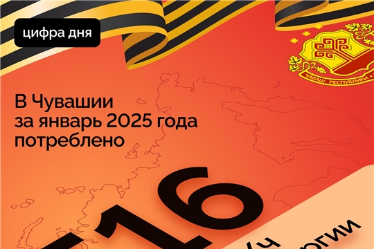 В Чувашии за январь 2025 года потреблено 516 млн кВт/ч электроэнергии