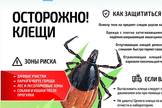 ❗️О рекомендациях, как защитить детей от клещей