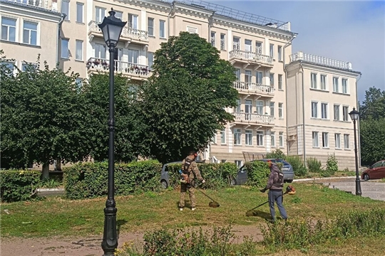 Сентябрьский покос