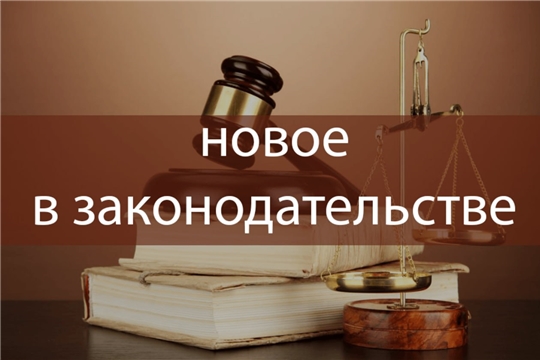 Вступили в силу изменения в закон о дополнительной поддержке семей с детьми