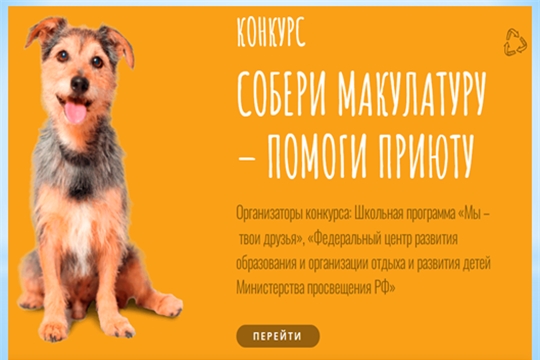 «Собери макулатуру – помоги приюту»: приглашаем к участию в конкурсе