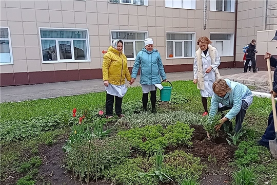 В канун Дня семьи в Яльчикской ЦРБ прошла экологическая акция «Посади дерево семьей»