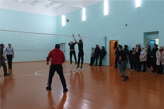 Новогодний турнир по волейболу