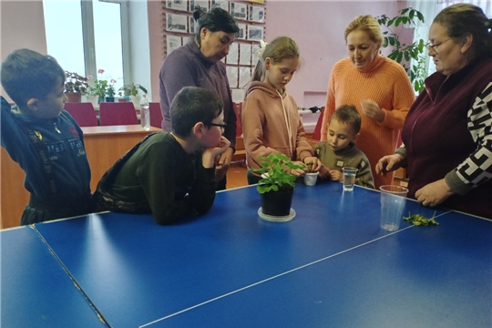 «Нет ничего прекраснее цветов»