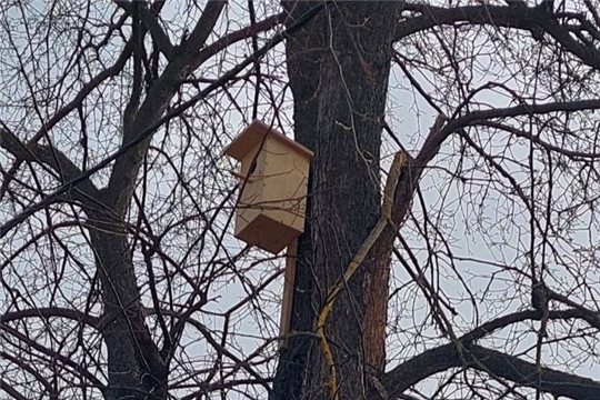 В международный день птиц