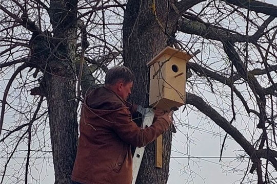 День птиц
