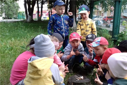Ядовитые грибы