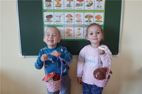 Грибы без опаски