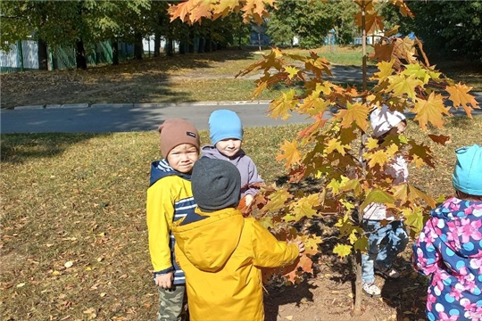 Красота осенней природы.