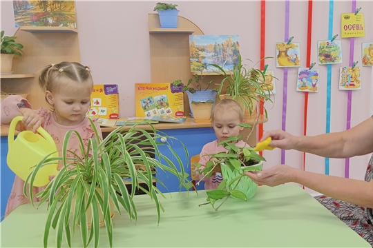Эколята –дошколята учатся ухаживать за комнатными растениями