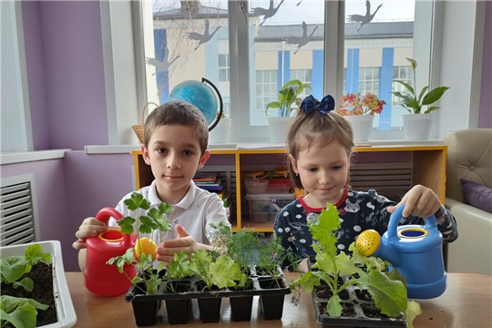 Есть у нас огород , зелень там своя растет